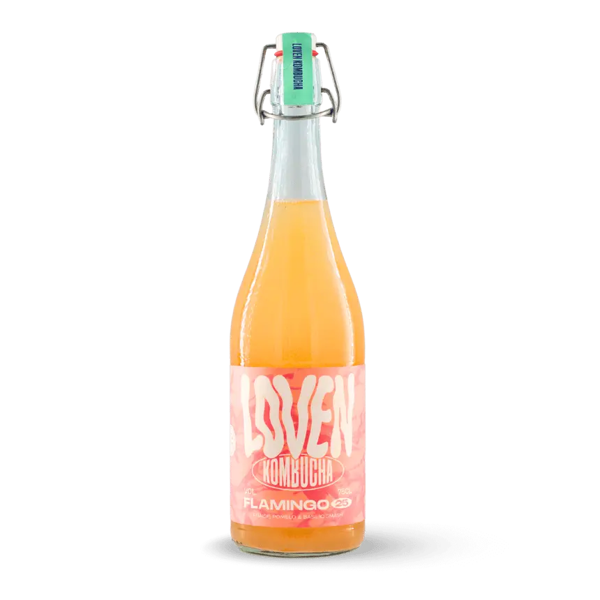Kombucha flamingo - 75 cl