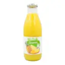Pur jus d'ananas Costa Rica 1l